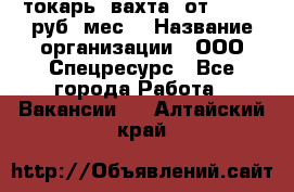 токарь. вахта. от 50 000 руб./мес. › Название организации ­ ООО Спецресурс - Все города Работа » Вакансии   . Алтайский край